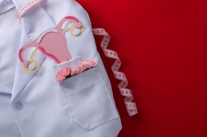 cirugia-estetica-genital-femenina-objetivo-de-recuperar-la-vitalidad-de-las-partes-intimas- imagen de artículo